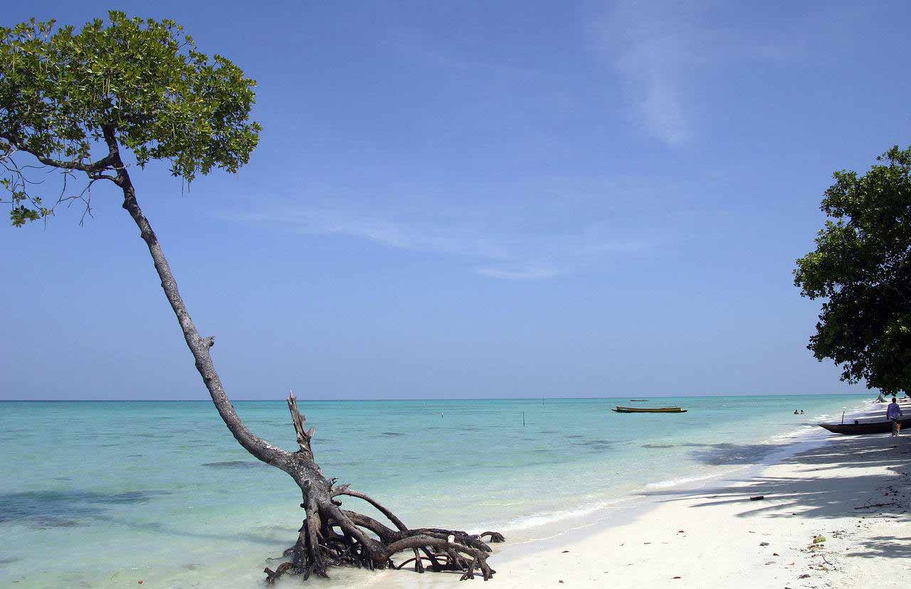 best-places-to-visit-in-andaman-and-nicobar
