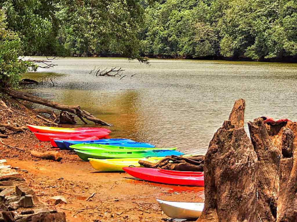 Dandeli Wildlife Sanctuary