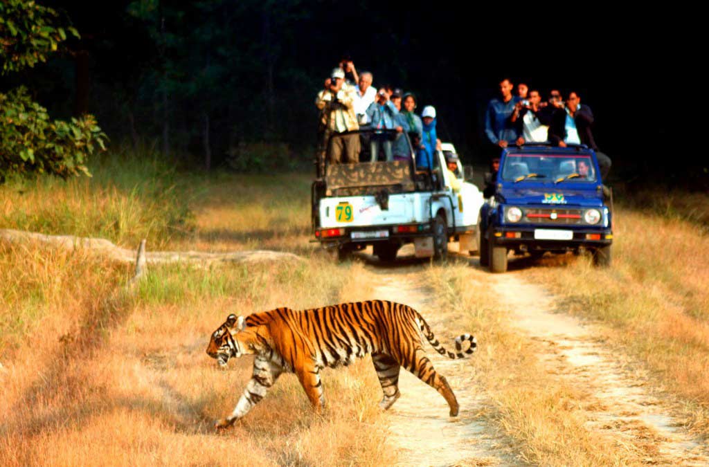 Jim Corbett National Park in Uttarakhand