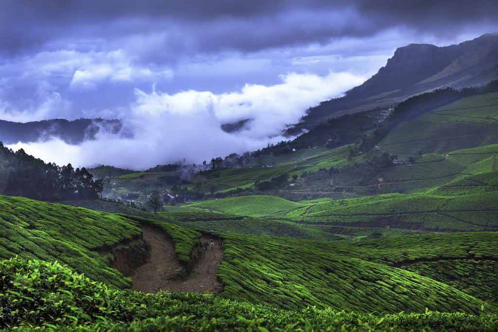 Munnar