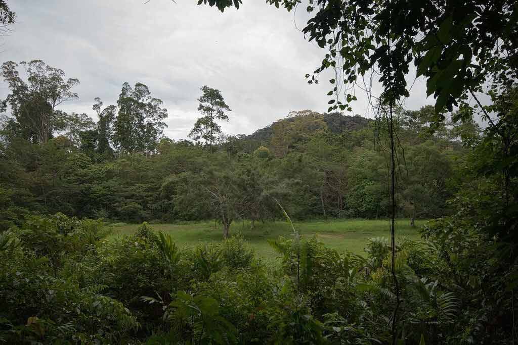 Taman Nagara