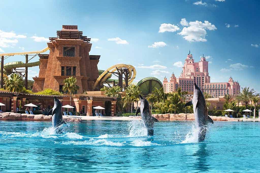 Atlantis Dolphin Bay Dubai