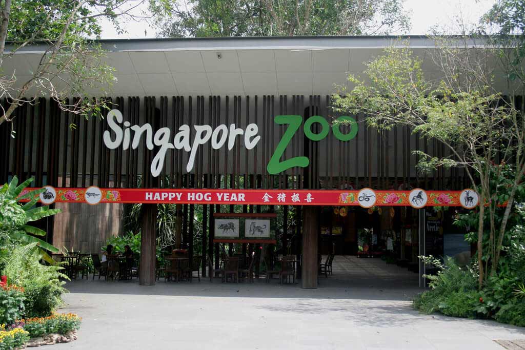 Entrance-plaza-singapore-zoo - Travel Tips And Experience - Rayna Tours 