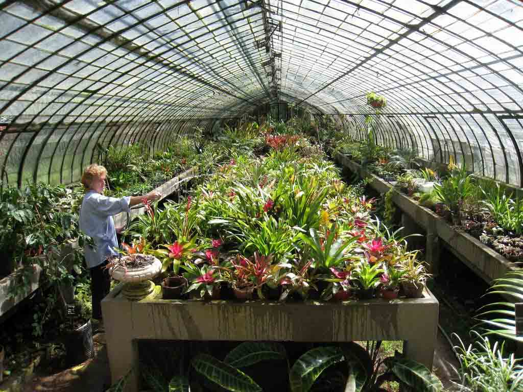 Best Botanical Gardens In The World