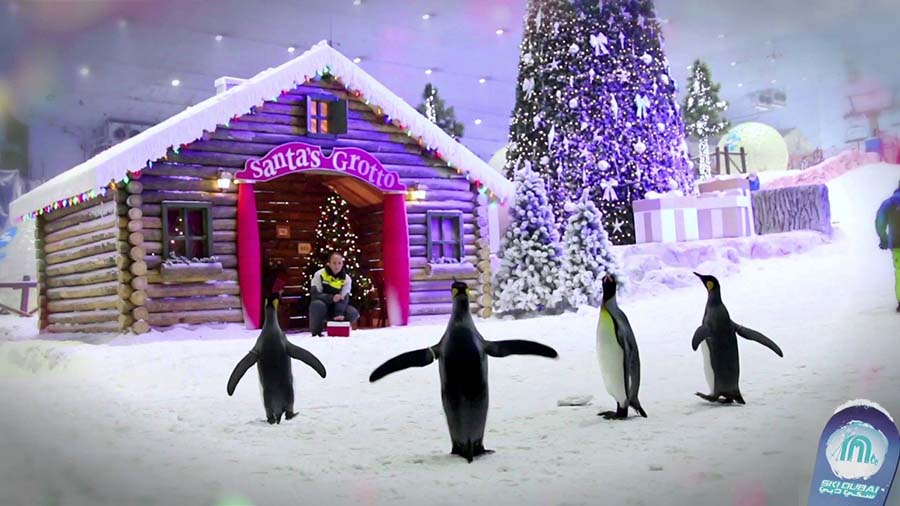 Dubai in December Things to Do, Festivals, Events, Shows & More