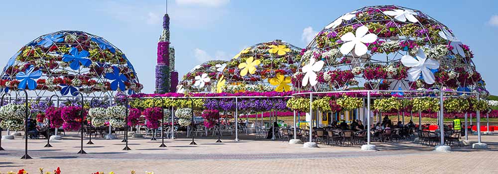 Dubai Miracle Garden Attractions Tickets Timings Location
