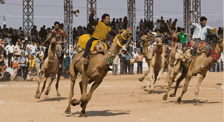 Dubai Camel racing festival