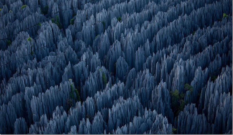 Stone Forest Madagascar