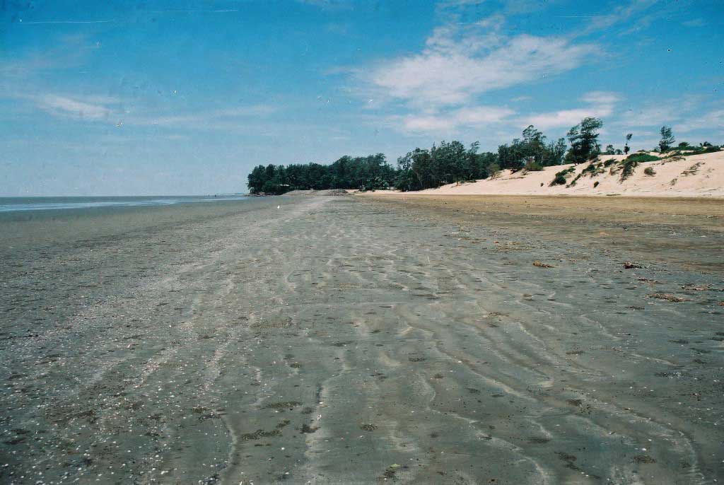 Chandipur Beach Low Tide