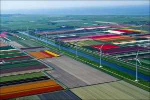 Flower Route Netherlands