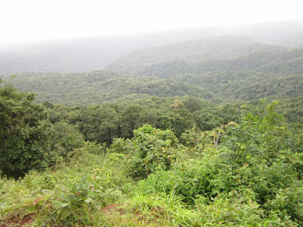 Dandeli Wildlife Sanctuary in Karnataka