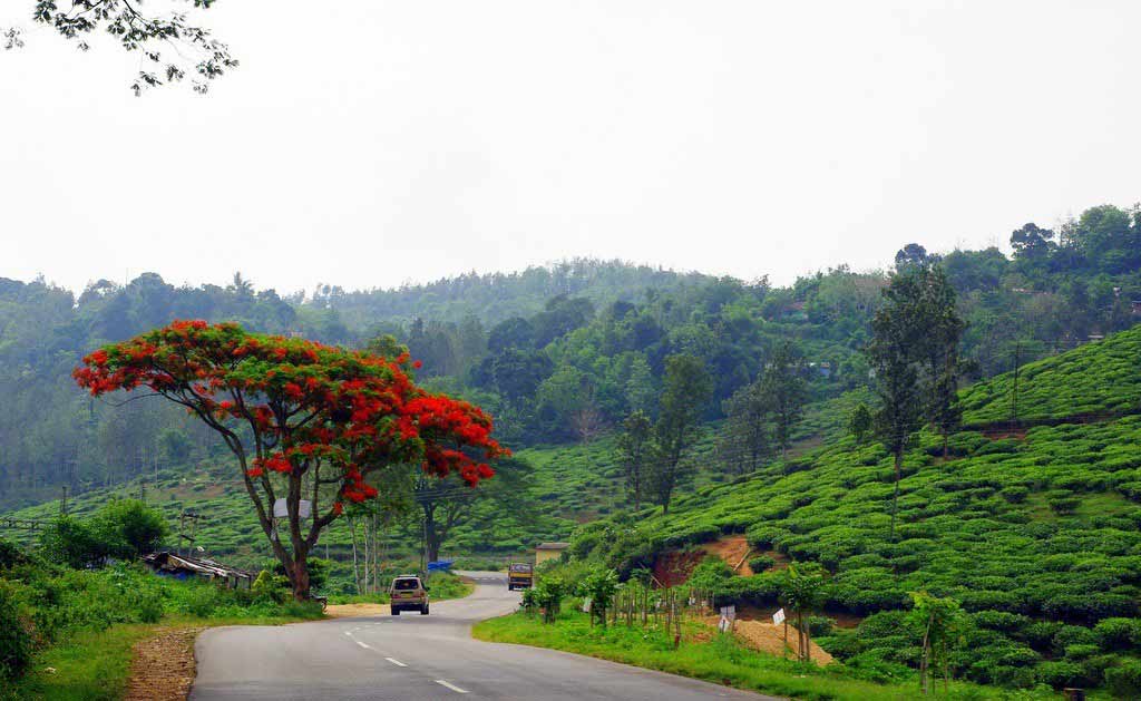 Must Visit hill Stations of South India