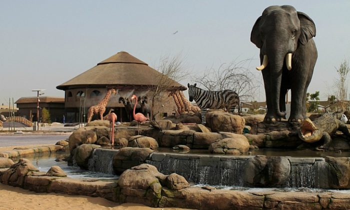 Dubai Safari Park - Info, Attractions, Offers, Timings And More