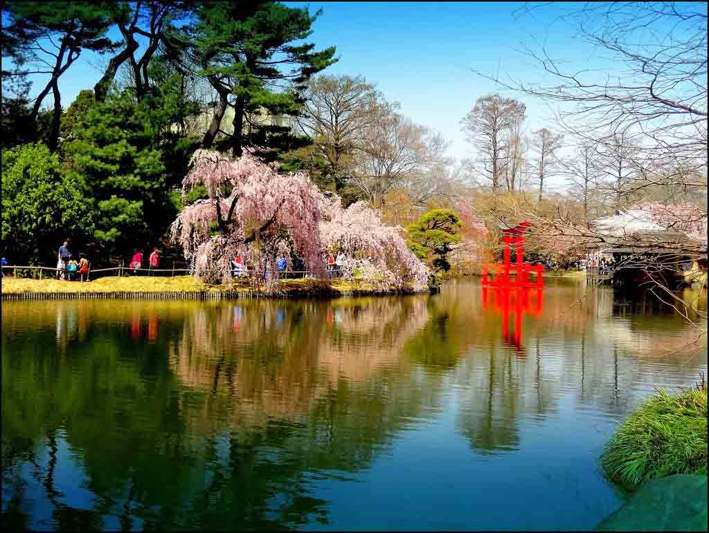 12 Best Botanical Gardens in the World