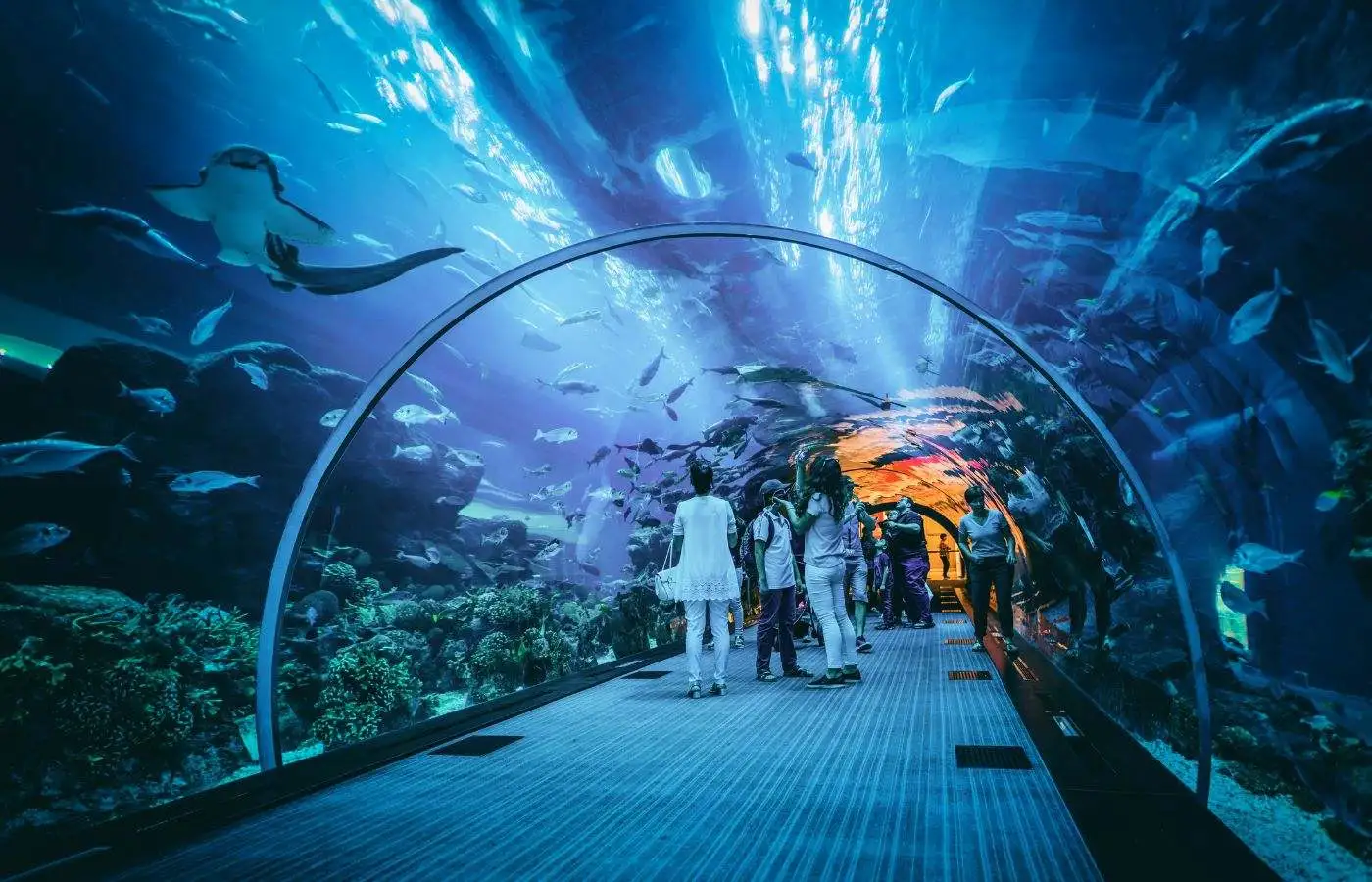 Visitors walking through the Dubai Aquarium and Underwater Zoo tunnel surrounded by marine life