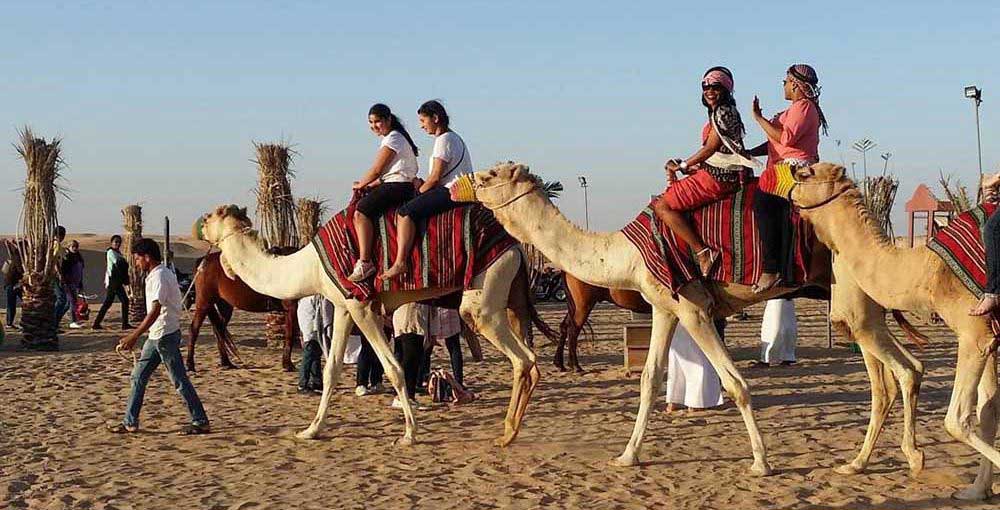 camel ride - adventurous desert activities