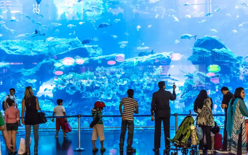 People at Aquarium in Dubai Mall.
