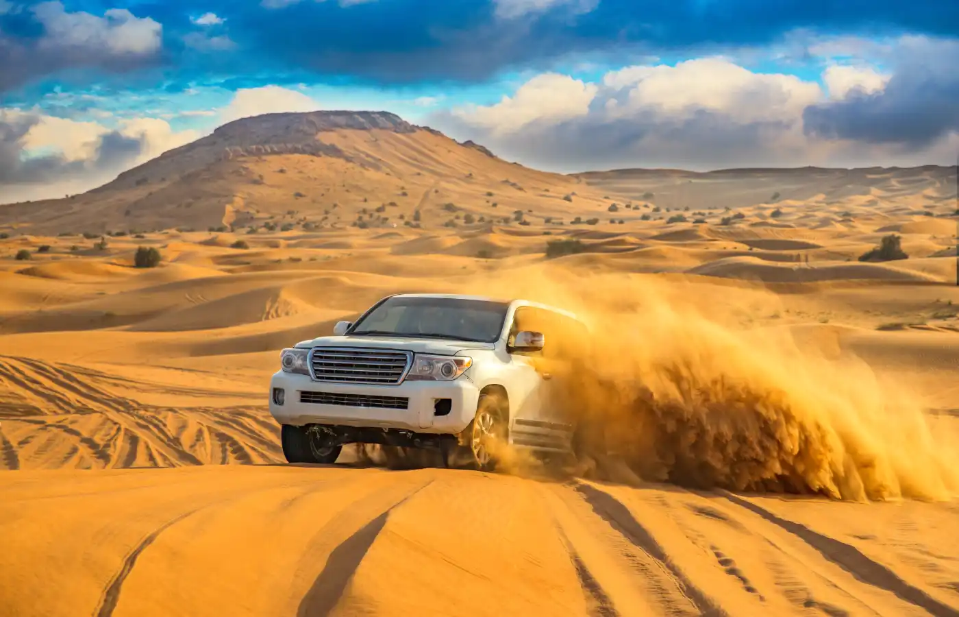 Offroad desert safari