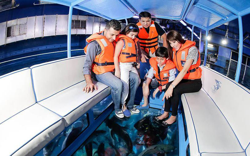 glass boat tour dubai aquarium