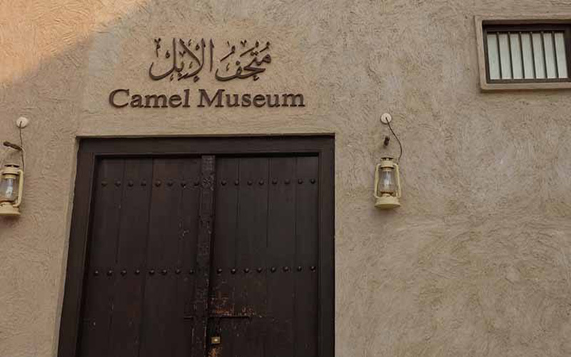 Camel Museum 