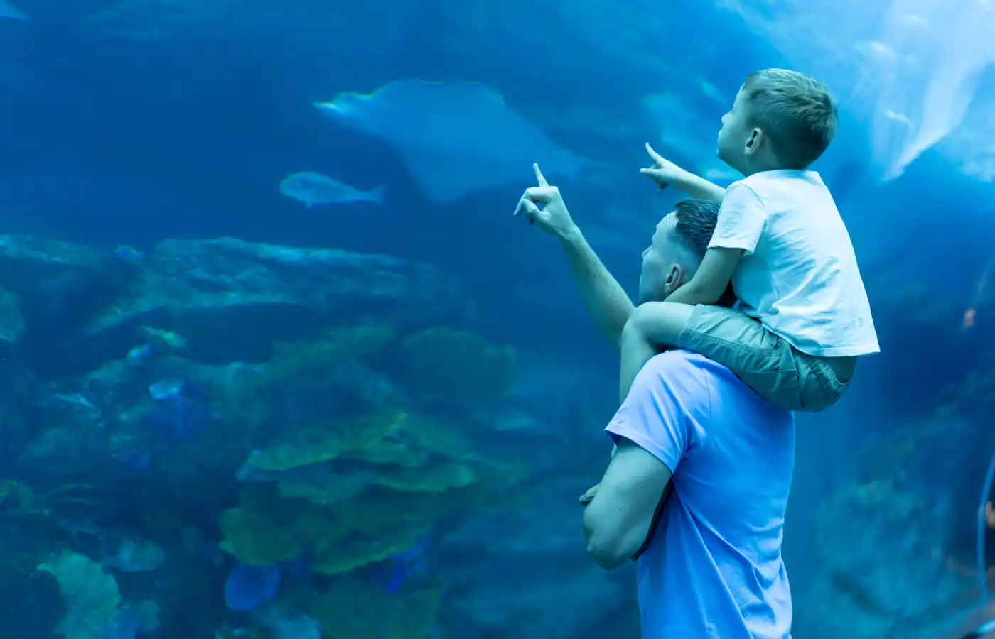 Dad and son spend time together in the underwater world.