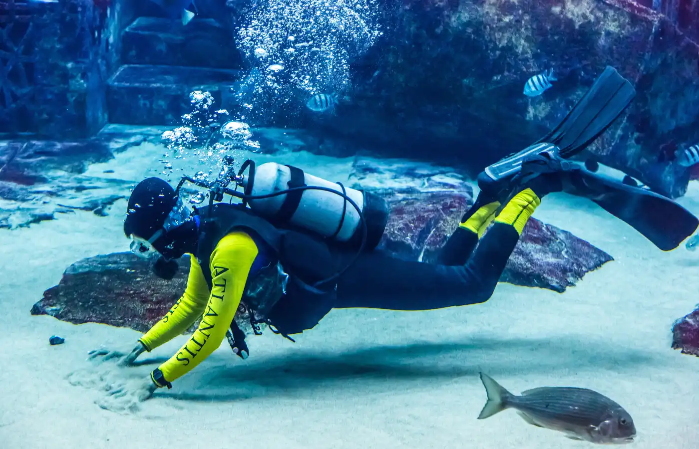 Man doing scuba diving in Dubai.