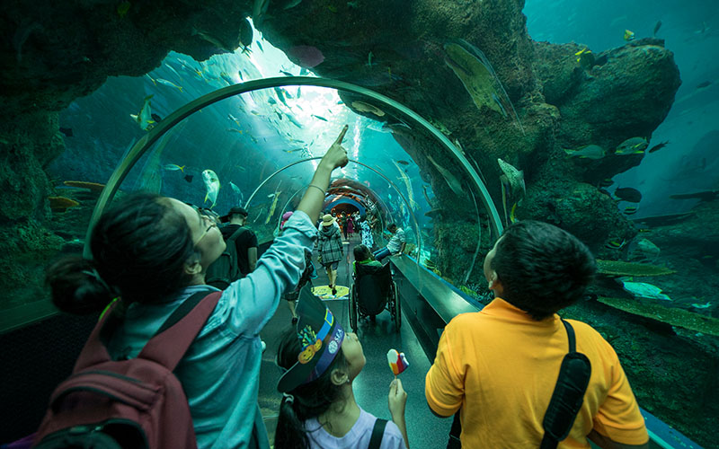 Sea Aquarium in singapore