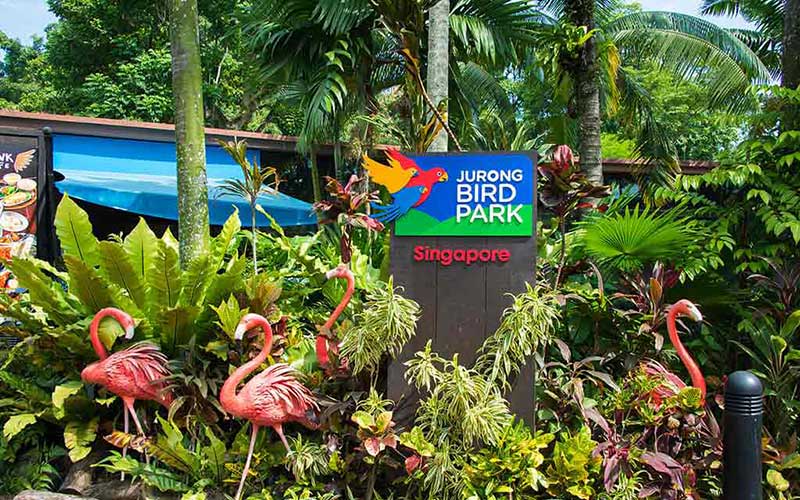 jurong bird park Singapore