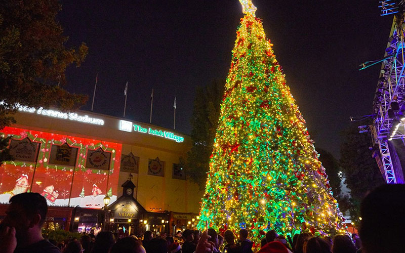 Christmas-Tree-Lighting