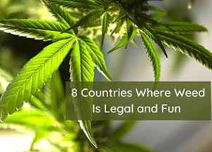 8 Countries Where Weed Is Legal and Fun