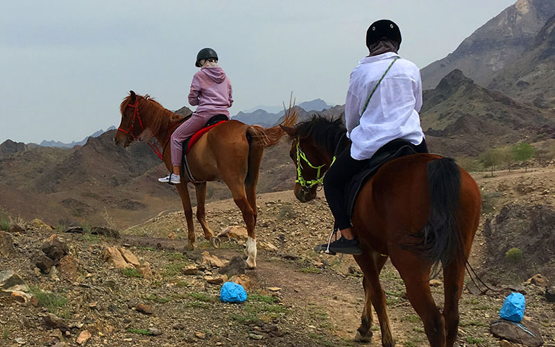 Horse Riding Hatta Wadi Hub 