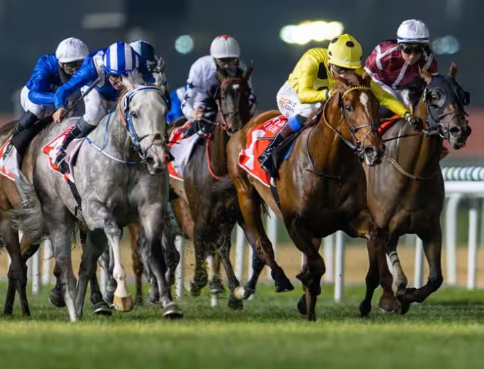 Dubai Racing Carnival