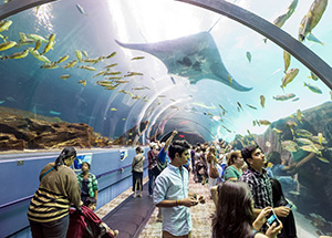 Best-Aquariums-Around-the-World