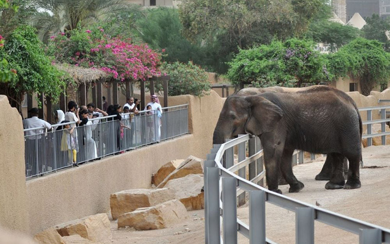 Riyadh-Zoo
