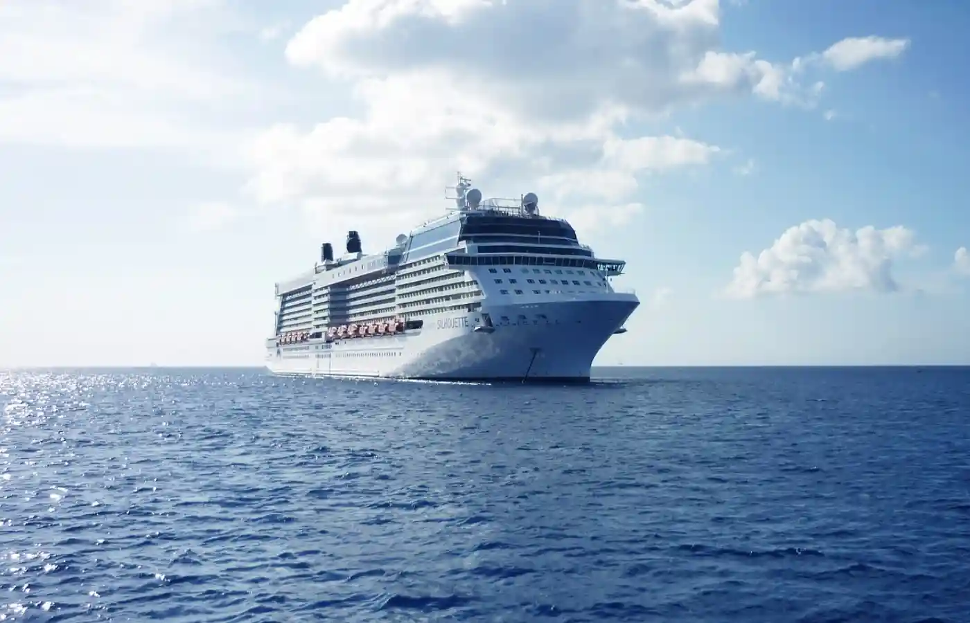White color cruise ship in the body of water.