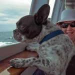 A french bulldog sitting near a woman.