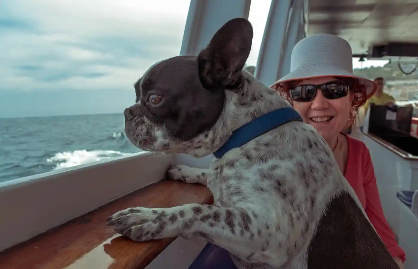 A french bulldog sitting near a woman.