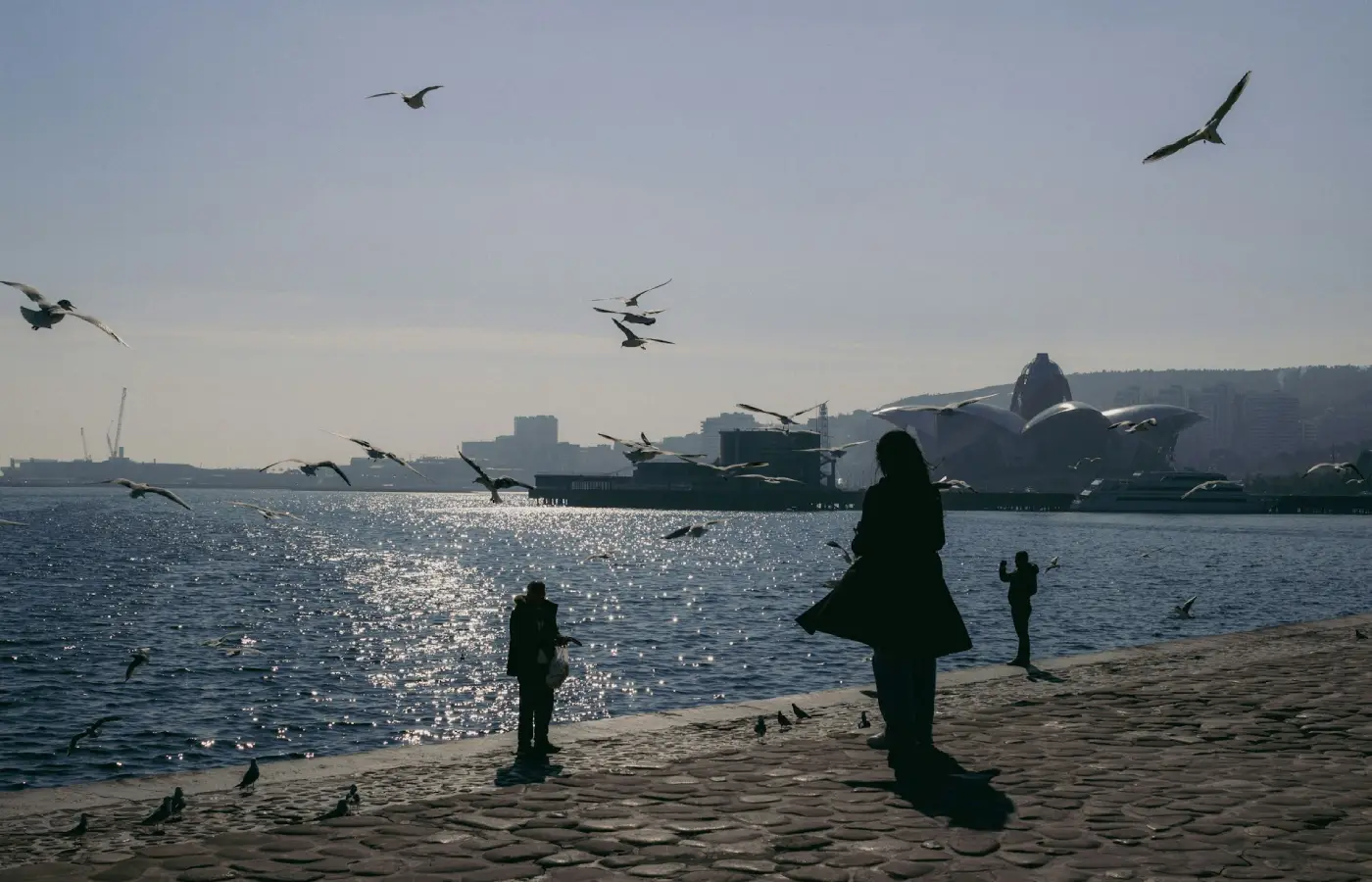 A group of people standing on top of a beach next to the ocean in Baku