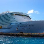 White color cruise ship in the sea.