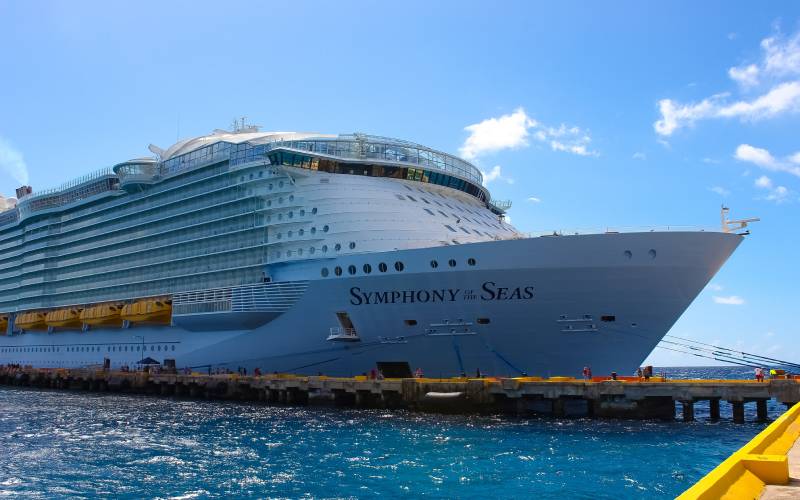 White color cruise ship in the sea.