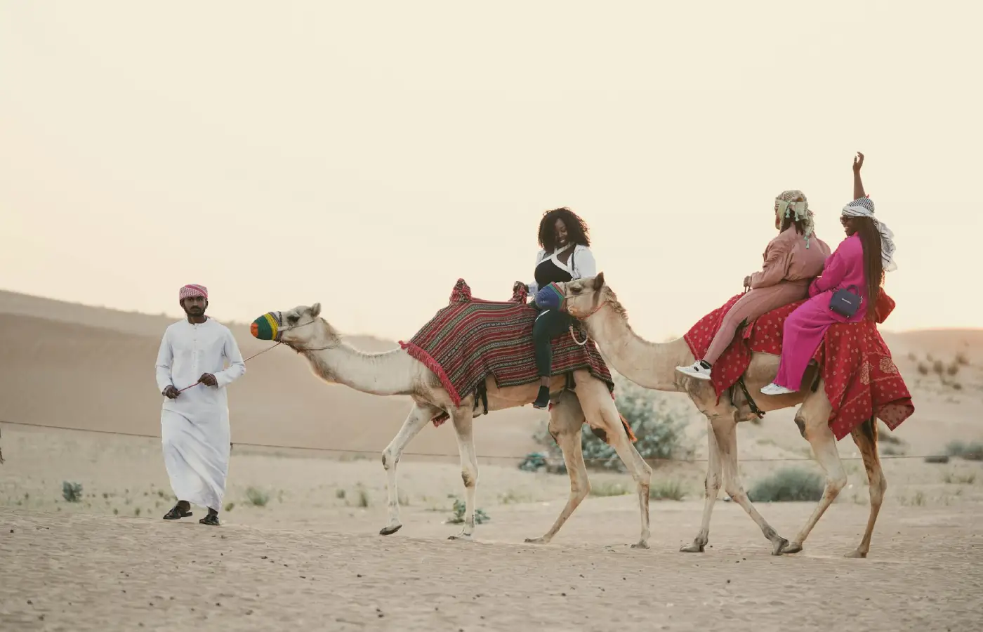 Women riding camels on desert.