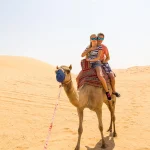 Couple riding camel in Abu Dhabi desert
