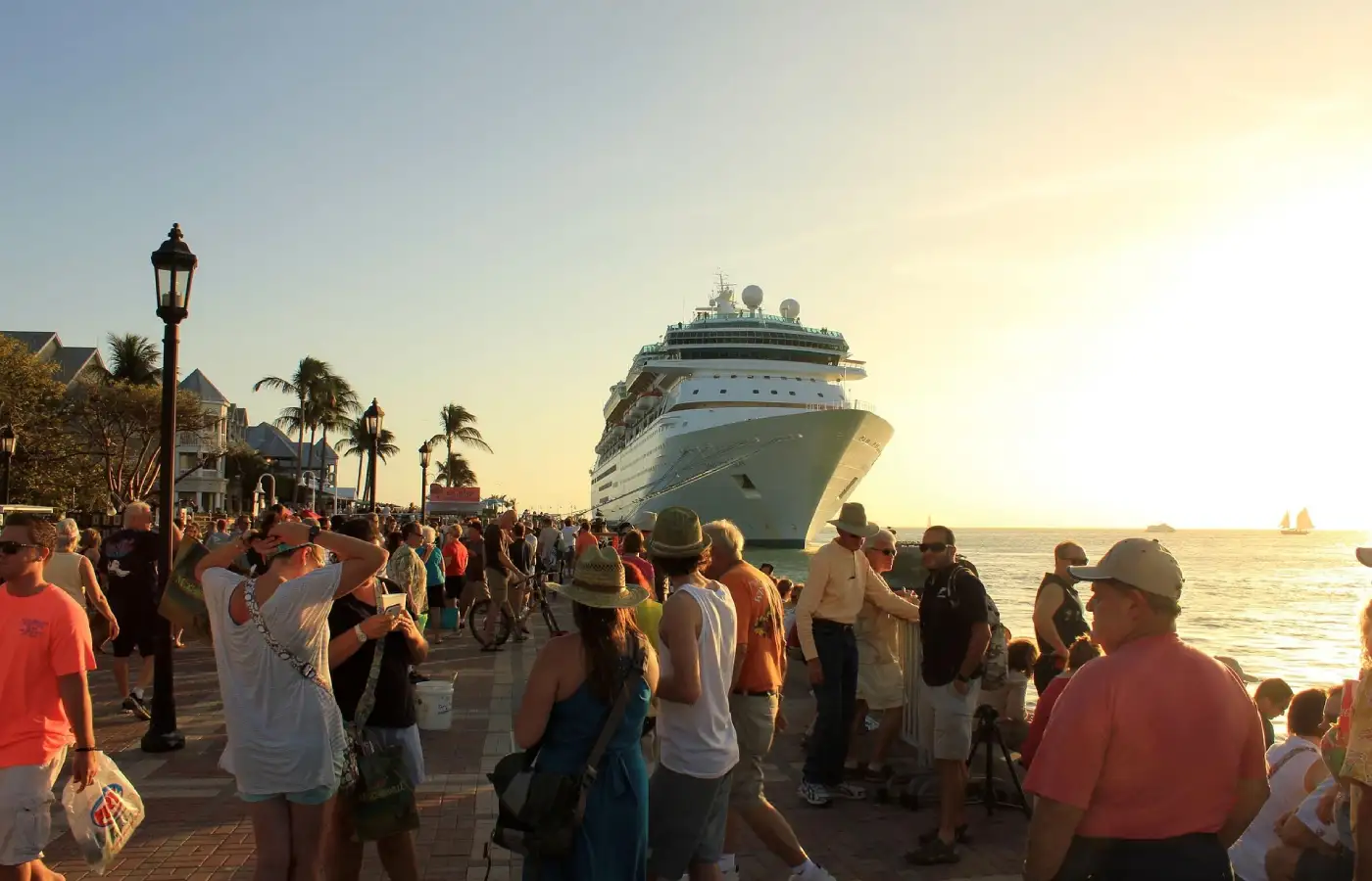 A lot of tourist infront of a cruise.