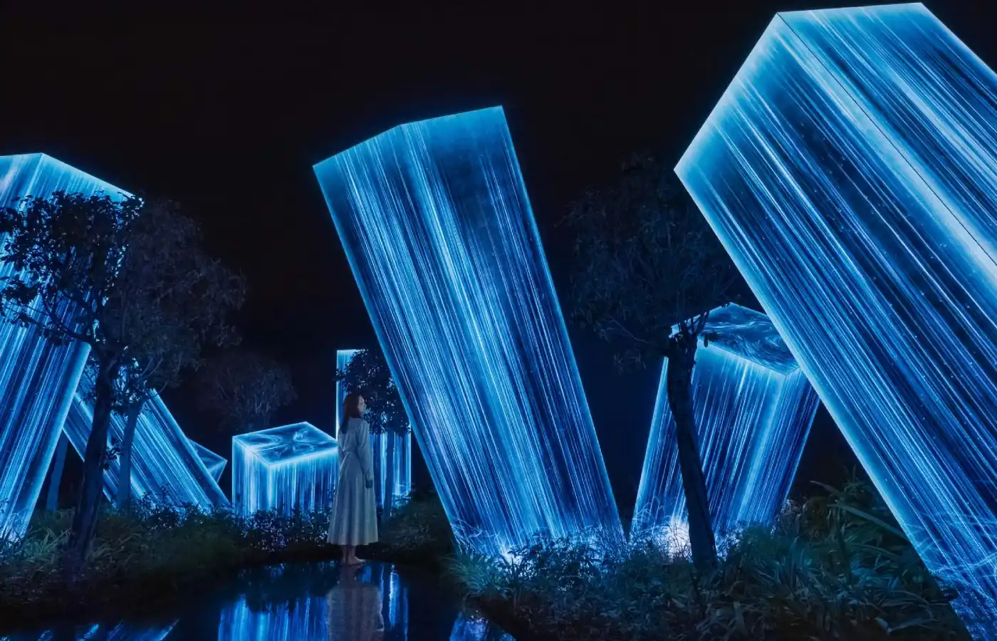 teamLab Phenomena Abu Dhabi.