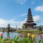 Bali nature