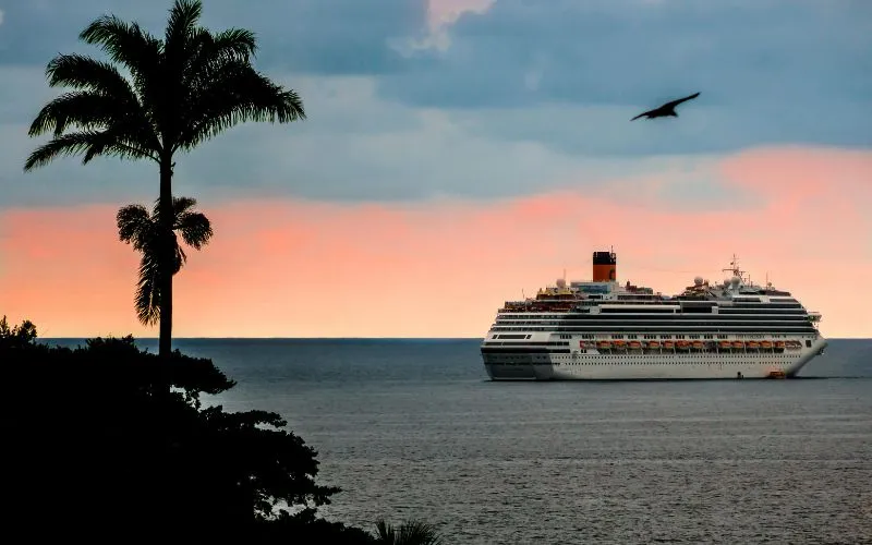 Cruise Holiday Essentials