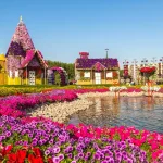Colorful flowers at Dubai Miracle Garden.