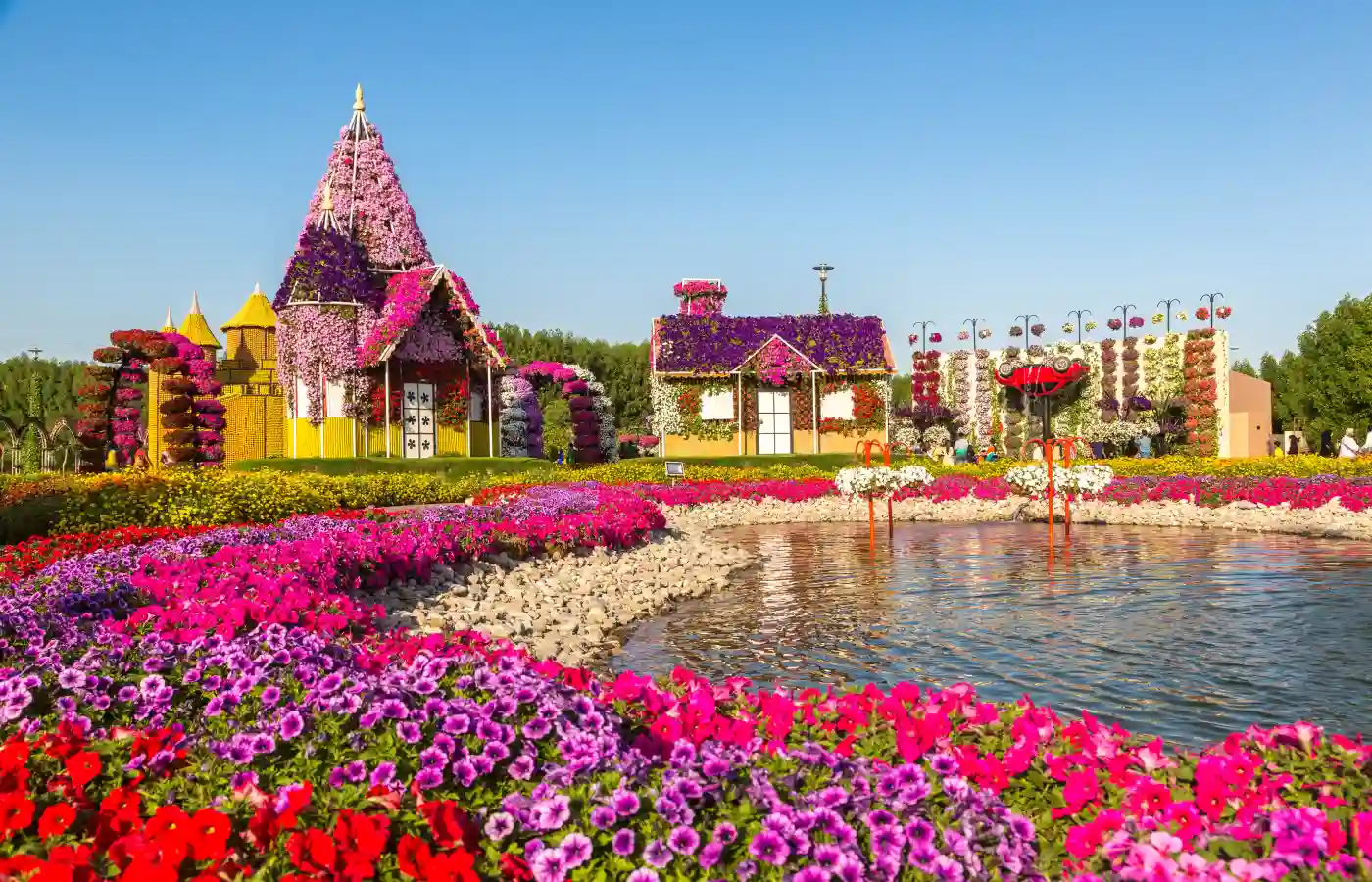 Colorful flowers at Dubai Miracle Garden.