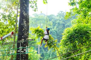 Zip through the wilderness with Flight of the Gibbon