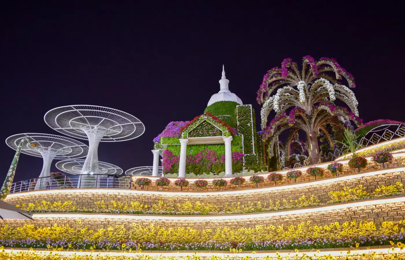 Miracle Garden in Dubai.